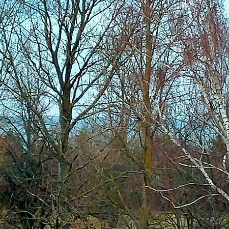 アパート Woda I Wiatr Pl 2 Rozewska 44