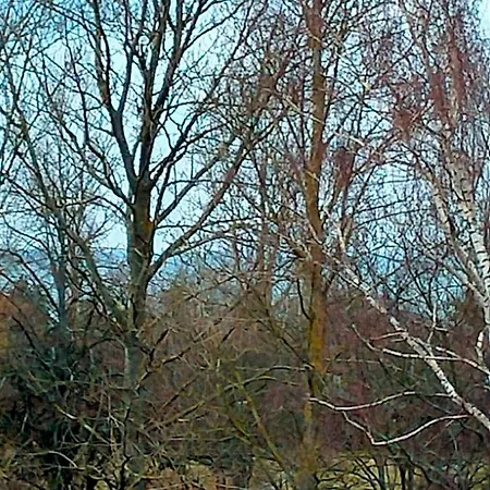 Apartment Woda I Wiatr Pl Rozewska 44
