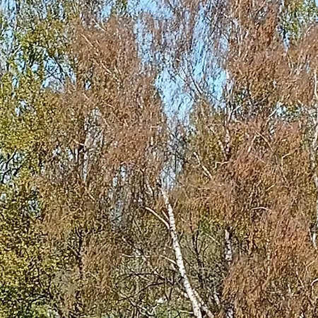 Woda I Wiatr Pl 2 Rozewska 44