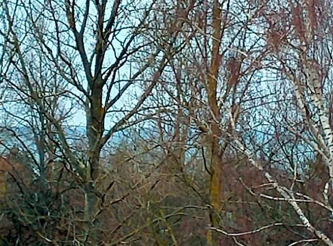 公寓 Woda I Wiatr Pl 2 Rozewska 44