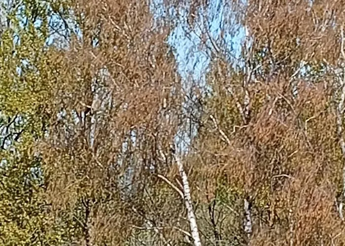 Woda I Wiatr Pl 2 Rozewska 44